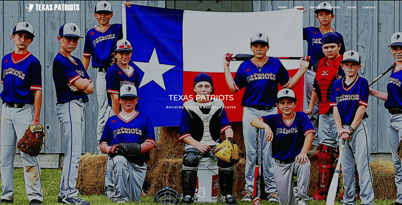 Texas Patriots Baseball website